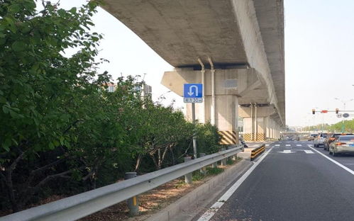 北京交警在全市范圍內開展路樹遮擋交通設施排查整治工作